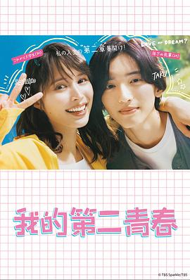 荆门seo整站优化排名